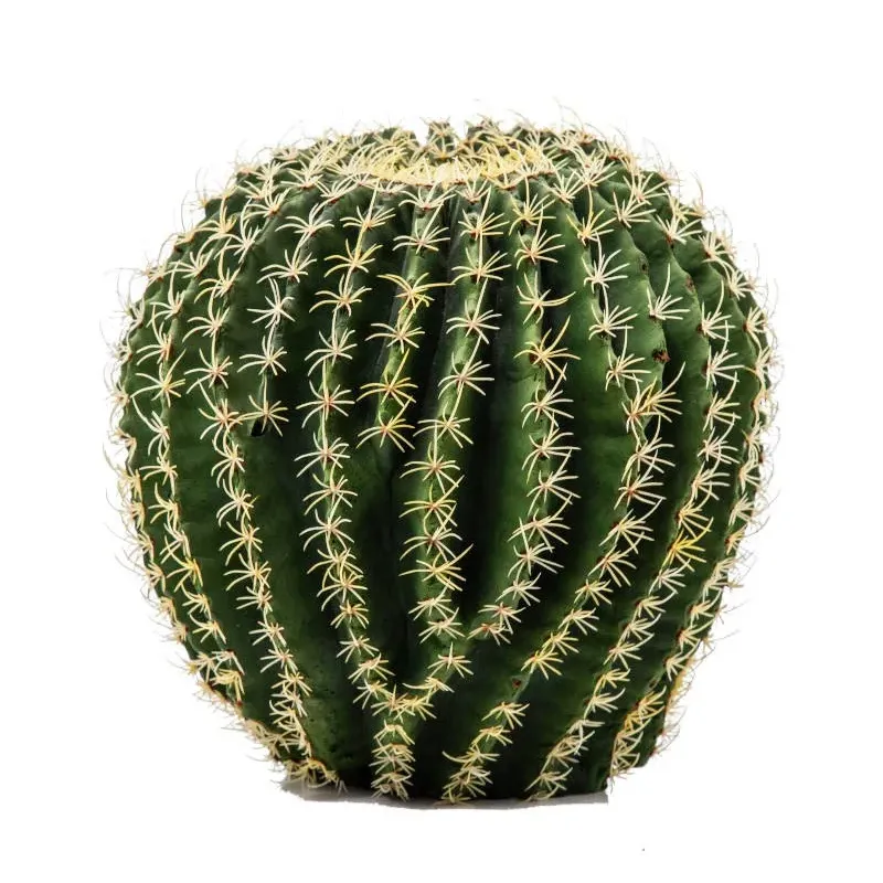 Succulent Mother-in-Law's Pillow 28 cm