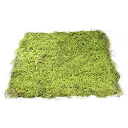 Pelouse verte cm 100x100