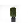 Square Boxwood with Vase 94 cm