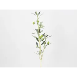 Rama de olivo 67 cm