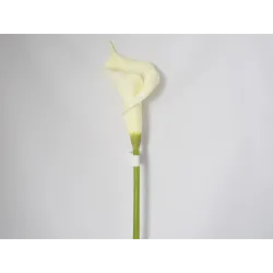 Krém Calla krém cm 84