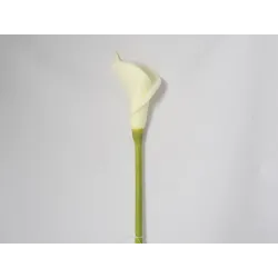 Calla Lot Λευκό Cm 74