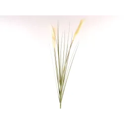 Πάμπας στο κλαδί cm 127