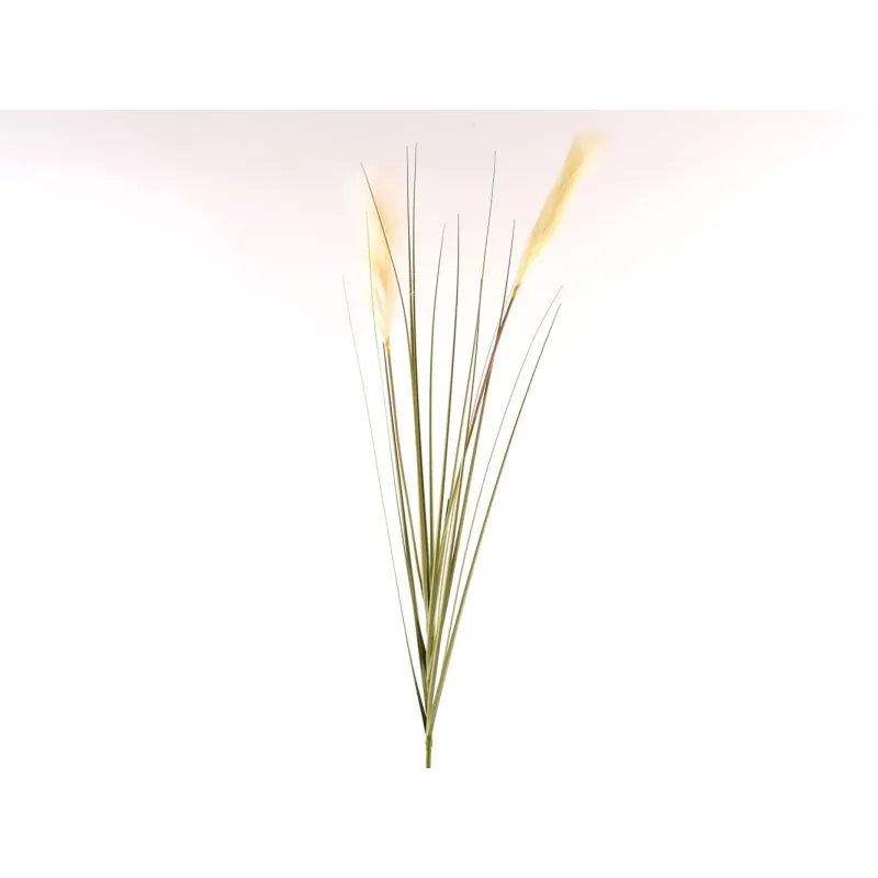 Pampas in Ramo Cm 127