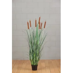 Biodino 5 Blommor H 114 cm Grön