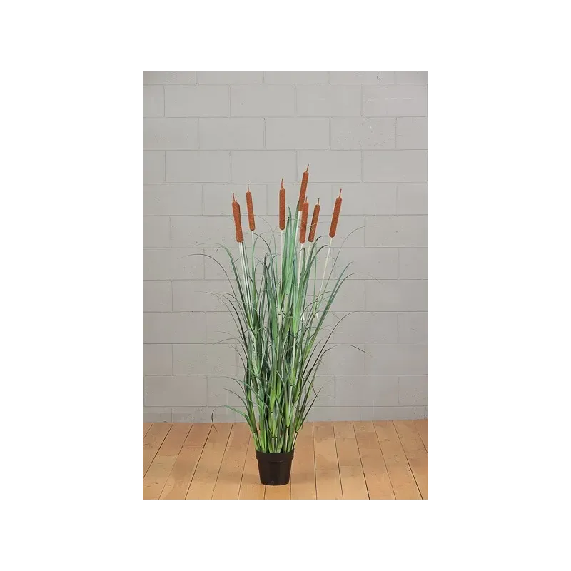 Biodino 5 Flores H 114 cm Verde | ChartaRè