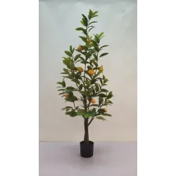 Citron Växt h 150 cm 258 Blad