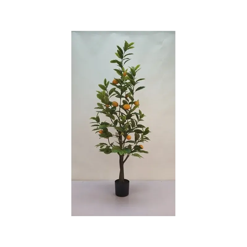 Pianta Limoni h 150 cm 258 Foglie | ChartaRè