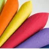 50 Colored Napkins cm 40x40
