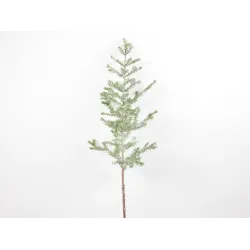 Γκλίτερ Juniper Branch