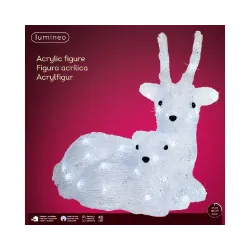 Outdoor Deer with Cold White Led box
