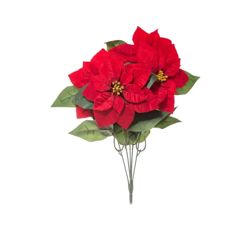 Bush Poinsettia cm 52