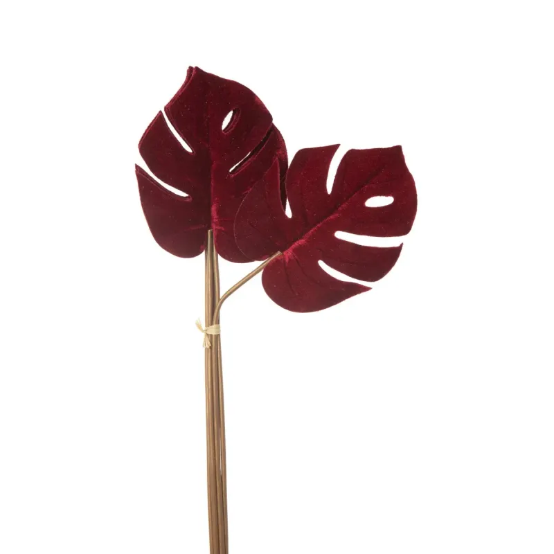 Botte 6 Feuilles Philo Velvet bourgogne