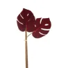 Bunch 6 Foglie Philo Velvet bordeaux