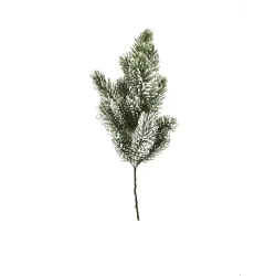 Branche de pin enneigée