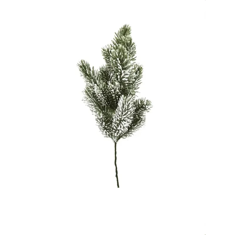 Branche de pin enneigée