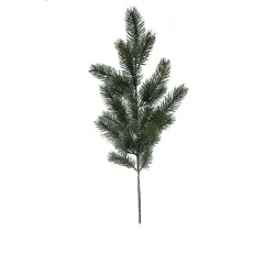 Pine Branch 28 Υποκαταστήματα