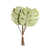 Bunch 6 Foglie Tropicali Velvet