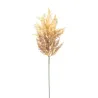 Astilbe cm 65