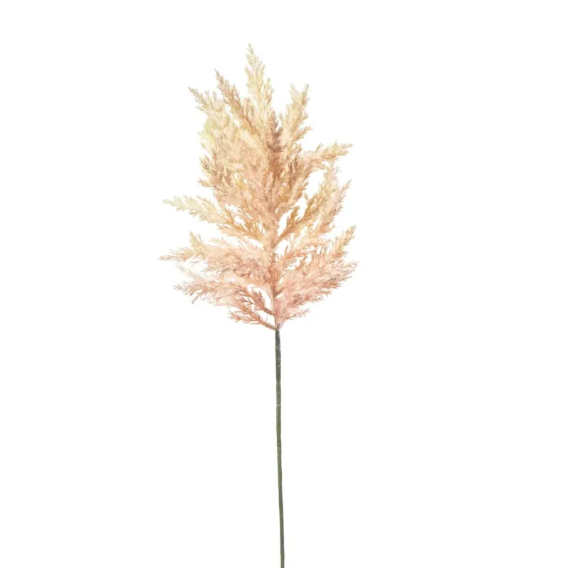 Astilbe cm 65 pink