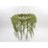 Pine Branch Pendant 99 cm