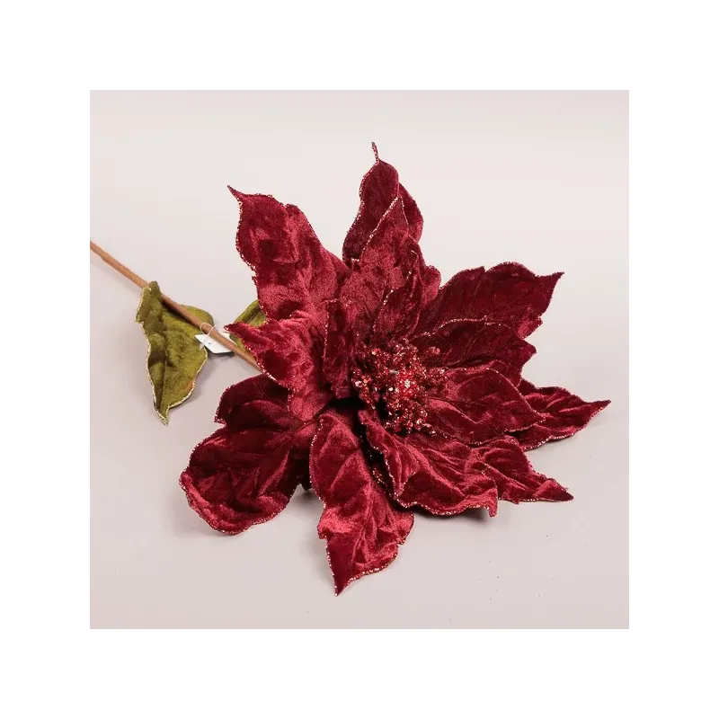 Ast Weihnachtsstern verschiedene Farben