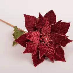 Ramo Stella Natale Vari Colori  rr
