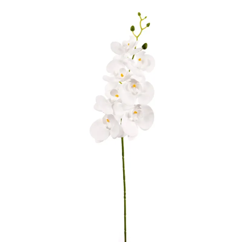 Phalaenopsis Lyx Orkidé Gren cm 94 vit