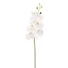 Phalaenopsis Luxus Orchidea Branch cm 94 fehér
