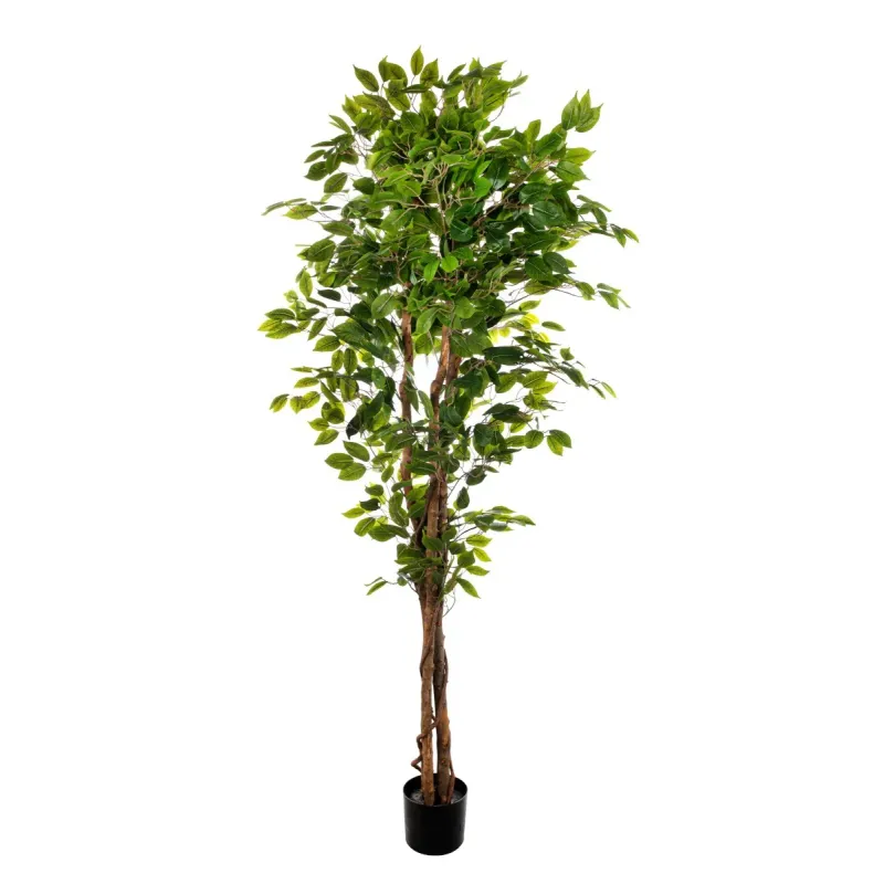 Planta de ficus 180 cm com 1008 folhas