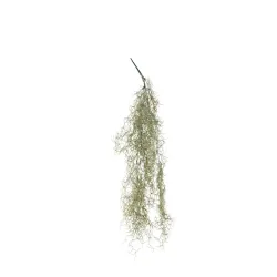 Branche de tillandsia affaissée de différentes hauteurs, idéale pour les décorations et les aménagements