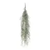 Galho de Tillandsia Flácida Várias Alturas, ideal para decorações e acessórios