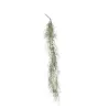 Hängande Tillandsia Branch olika höjder, perfekt för dekorationer och inredning