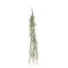 Rama de Tillandsia Caída Varias Alturas, ideal para decoraciones y accesorios