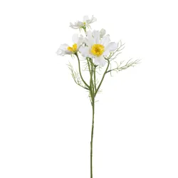 Tak 4 Cosmos cm 62 Diverse Kleuren