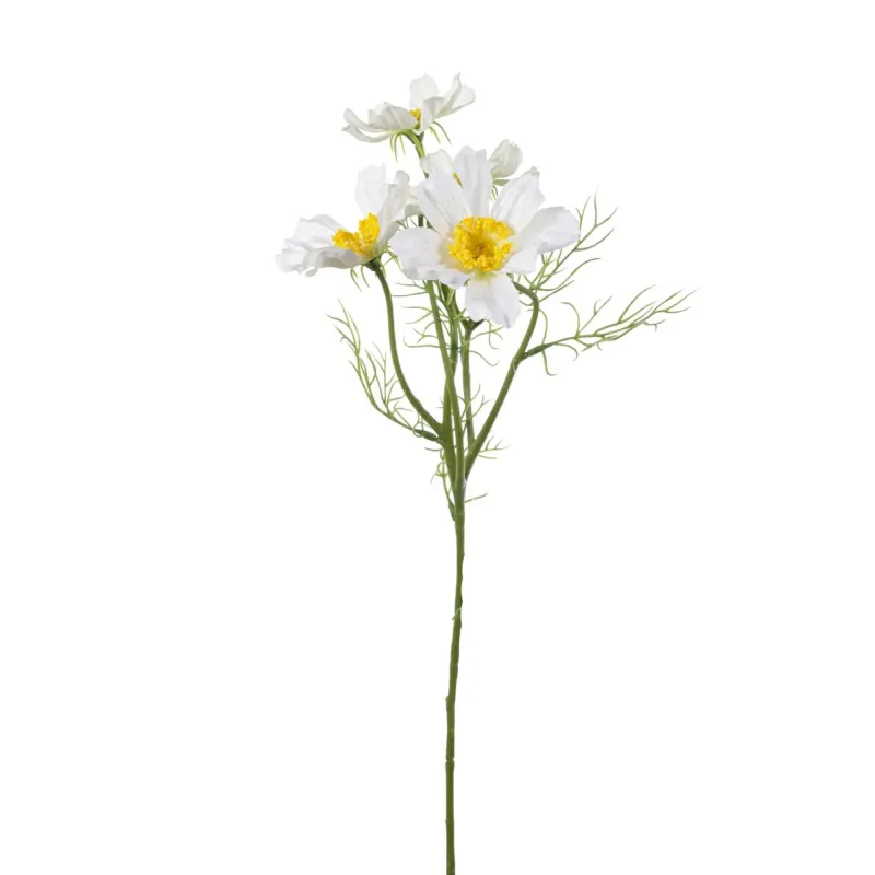 Tak 4 Cosmos cm 62 Diverse Kleuren wit