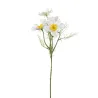 Branch 4 Cosmos cm 62 Various Colors white