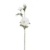 Ranunculus cm 72 Különböző színek fehér