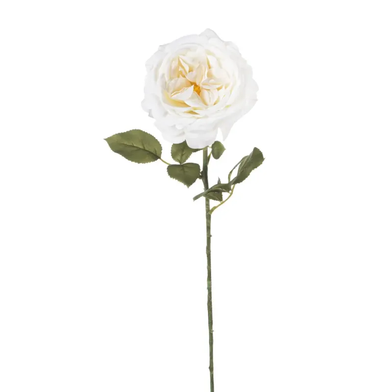 Fanny Rosa h 67 cm Varios Colores blanco