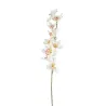 Cymbidium h 94 cm Várias cores, ideal para decorações e acessórios