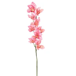Cymbidium h 94 cm Various Colors pink