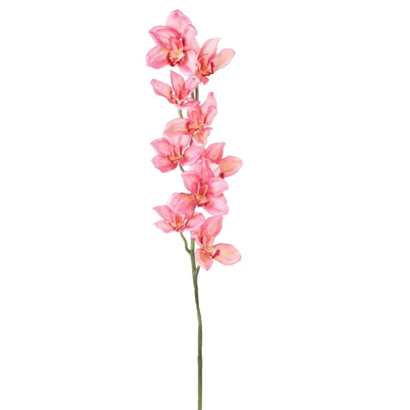 Cymbidium h 94 cm Verschiedene Farben rosa