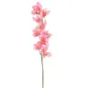 Cymbidium h 94 cm Couleurs variées rose