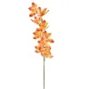 Cymbidium h 94 cm Various Colors, ideal for decorations and fittings