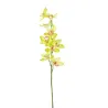 Cymbidium h 94 cm Couleurs variées, idéal pour les décorations et les aménagements