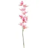 Cymbidium h 94 cm Különböző színek, ideális dekorációkhoz és szerelvényekhez