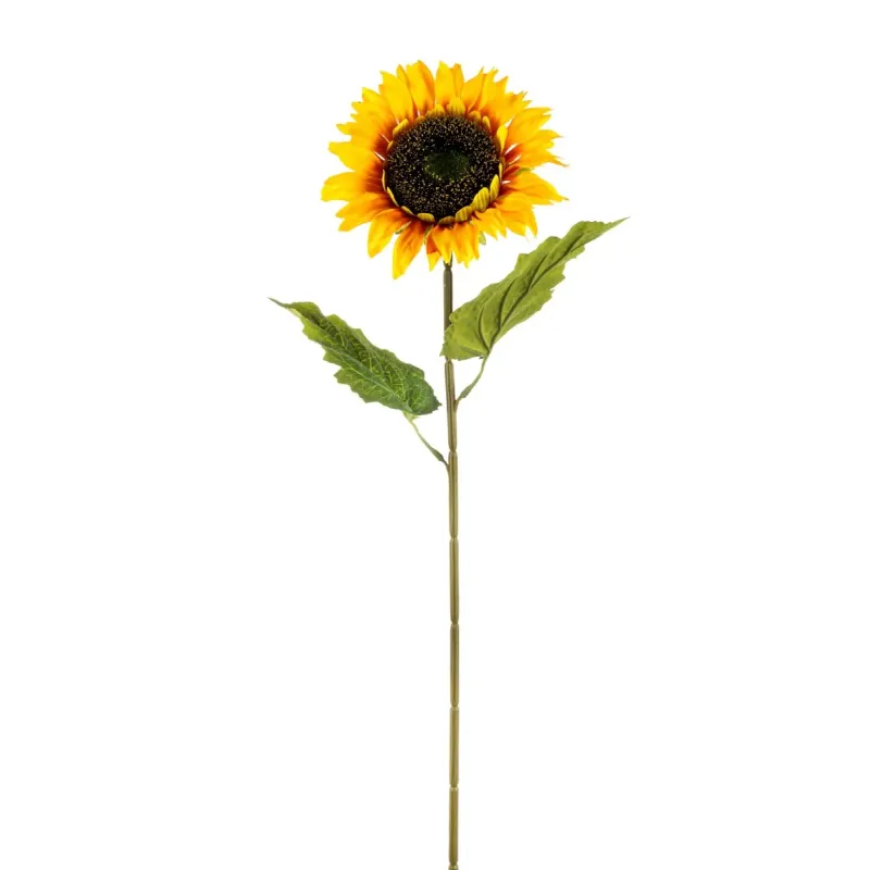 Single Sunflower cm 64