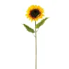 Enkele Zonnebloem cm 64