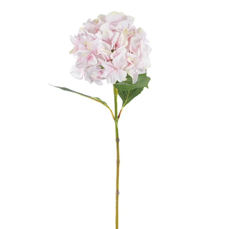 Hortênsia única cm 69 Várias cores rosa