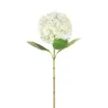 Single Hydrangea cm 69 Various Colors, ideal for decorations and fittings
